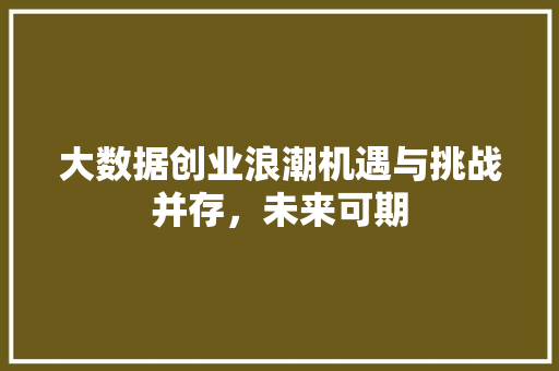 大数据创业浪潮机遇与挑战并存，未来可期