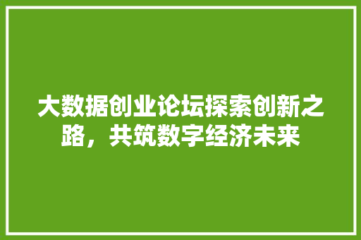 大数据创业论坛探索创新之路，共筑数字经济未来