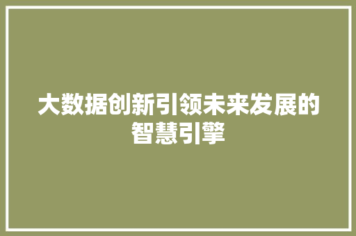 大数据创新引领未来发展的智慧引擎