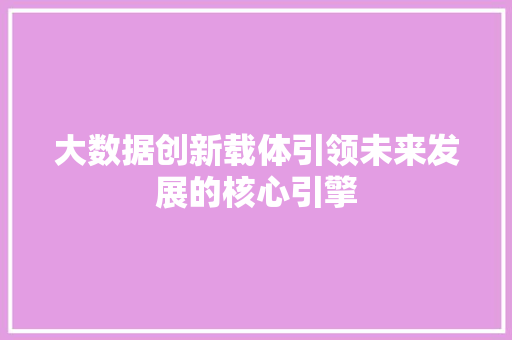 大数据创新载体引领未来发展的核心引擎