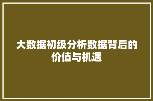 大数据初级分析数据背后的价值与机遇