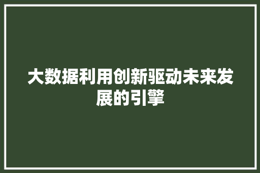 大数据利用创新驱动未来发展的引擎