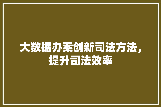 大数据办案创新司法方法，提升司法效率