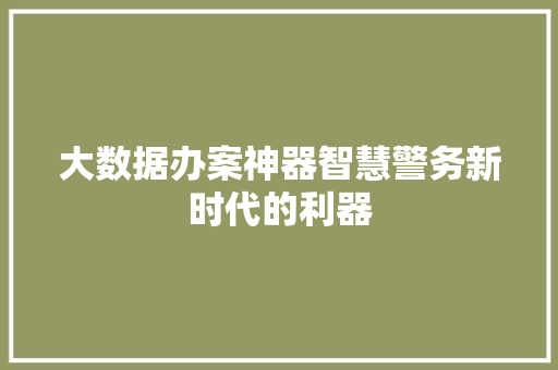 大数据办案神器智慧警务新时代的利器
