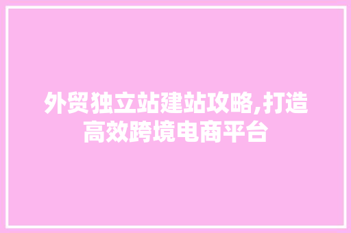 外贸独立站建站攻略,打造高效跨境电商平台