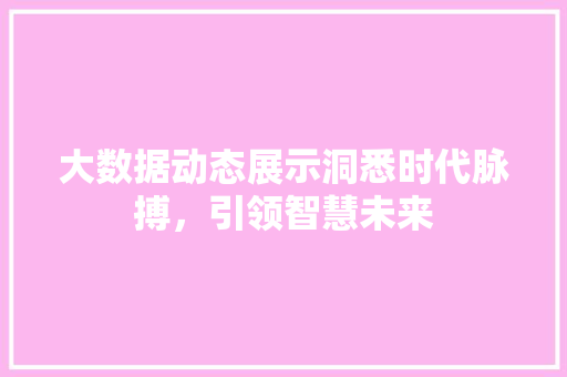 大数据动态展示洞悉时代脉搏，引领智慧未来