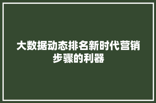 大数据动态排名新时代营销步骤的利器