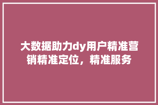 大数据助力dy用户精准营销精准定位，精准服务