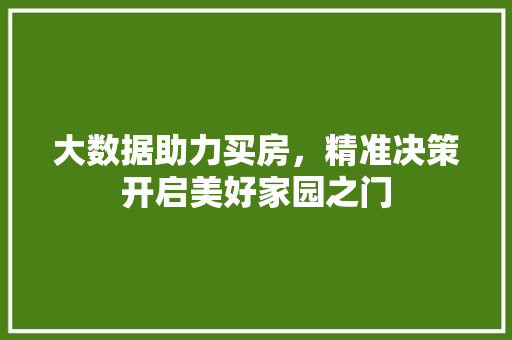 大数据助力买房，精准决策开启美好家园之门