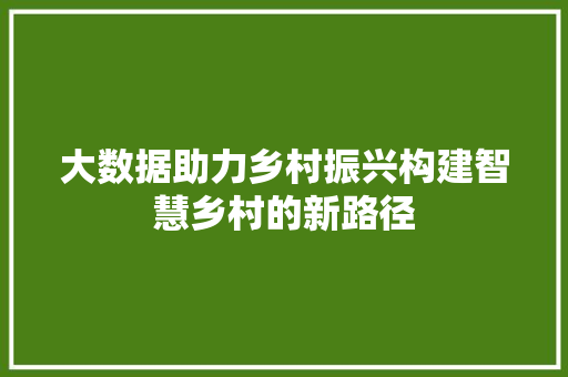 大数据助力乡村振兴构建智慧乡村的新路径