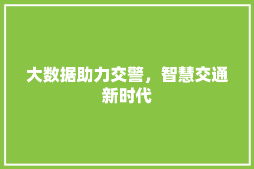 大数据助力交警，智慧交通新时代