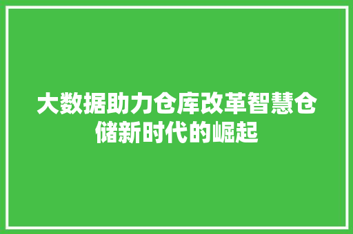 大数据助力仓库改革智慧仓储新时代的崛起