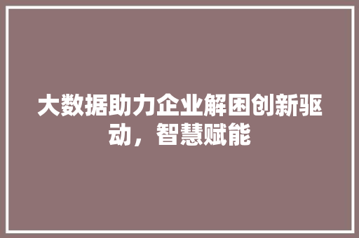 大数据助力企业解困创新驱动，智慧赋能