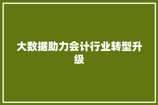 大数据助力会计行业转型升级