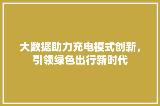 大数据助力充电模式创新，引领绿色出行新时代