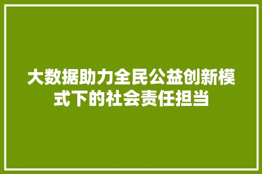 大数据助力全民公益创新模式下的社会责任担当