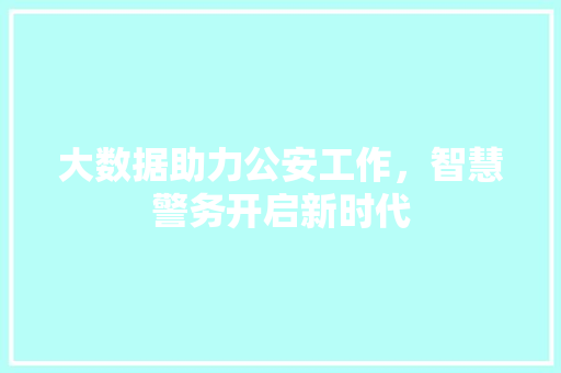 大数据助力公安工作，智慧警务开启新时代
