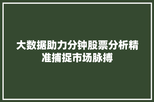 大数据助力分钟股票分析精准捕捉市场脉搏