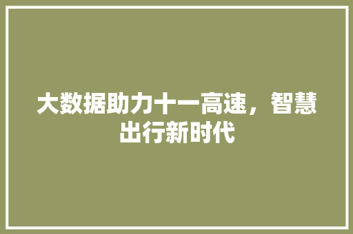 大数据助力十一高速，智慧出行新时代