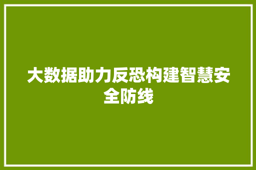 大数据助力反恐构建智慧安全防线