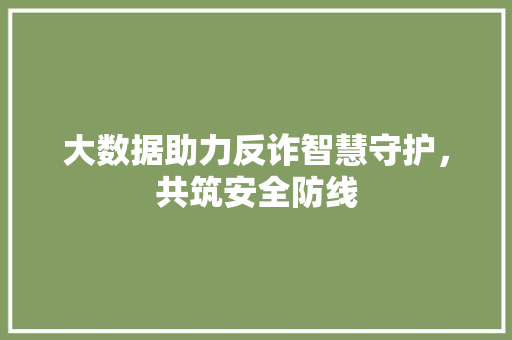 大数据助力反诈智慧守护，共筑安全防线