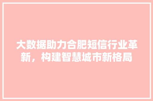 大数据助力合肥短信行业革新，构建智慧城市新格局