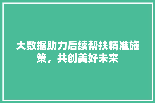 大数据助力后续帮扶精准施策，共创美好未来