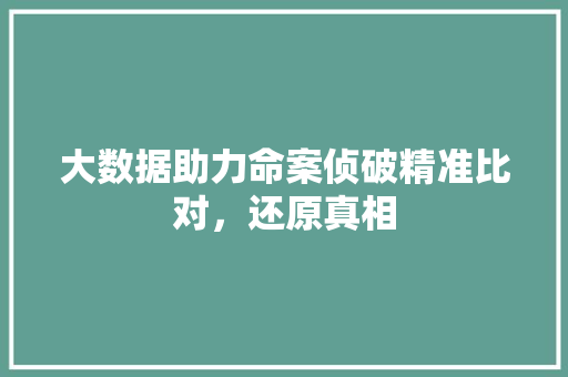 大数据助力命案侦破精准比对，还原真相 Web前端