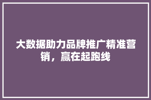 大数据助力品牌推广精准营销，赢在起跑线