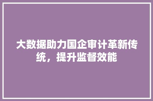 大数据助力国企审计革新传统，提升监督效能
