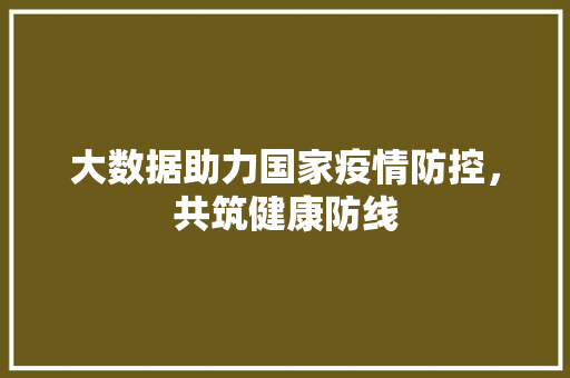 大数据助力国家疫情防控，共筑健康防线