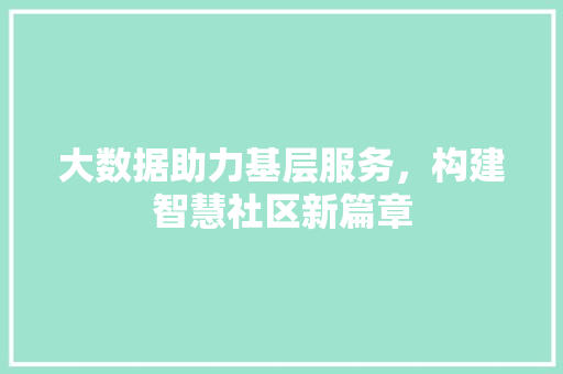 大数据助力基层服务，构建智慧社区新篇章