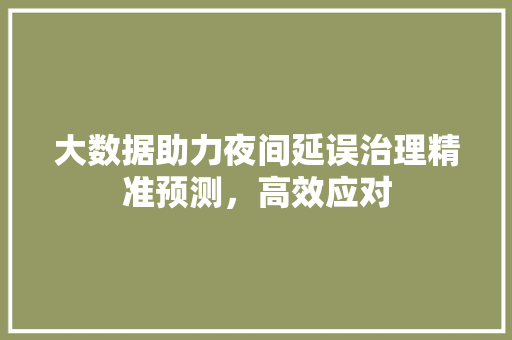 大数据助力夜间延误治理精准预测，高效应对 WordPress教程