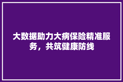大数据助力大病保险精准服务，共筑健康防线