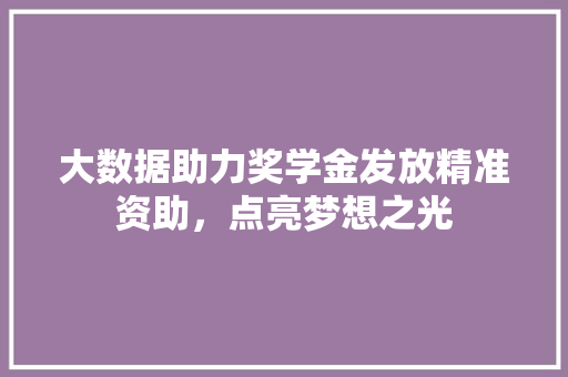 大数据助力奖学金发放精准资助，点亮梦想之光