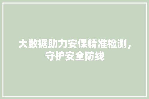 大数据助力安保精准检测，守护安全防线