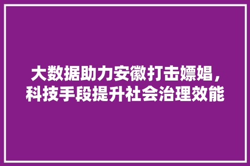 大数据助力安徽打击嫖娼，科技手段提升社会治理效能