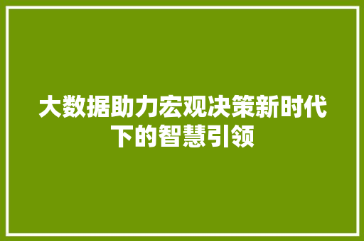 大数据助力宏观决策新时代下的智慧引领 服务器/数据库