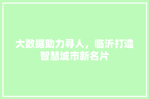 大数据助力寻人，临沂打造智慧城市新名片