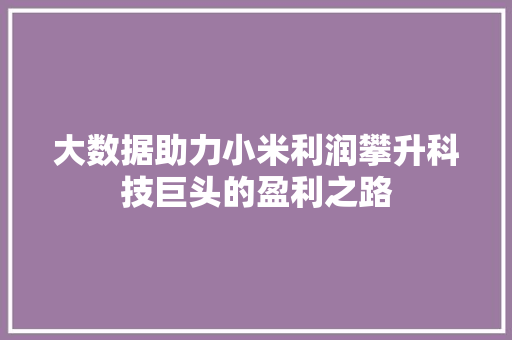 大数据助力小米利润攀升科技巨头的盈利之路 WordPress教程