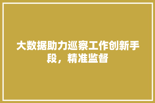 大数据助力巡察工作创新手段，精准监督 WordPress教程
