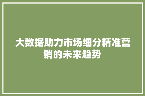 大数据助力市场细分精准营销的未来趋势 WordPress教程