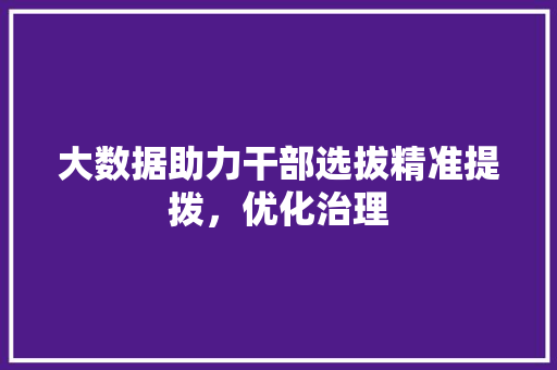 大数据助力干部选拔精准提拨，优化治理