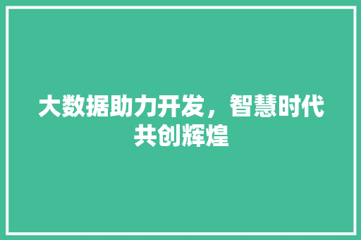 大数据助力开发，智慧时代共创辉煌