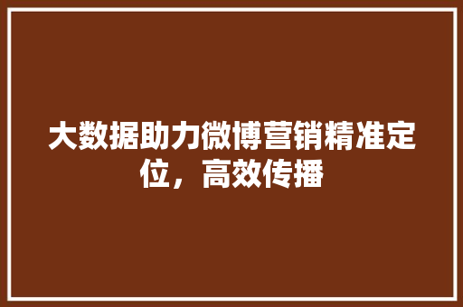 大数据助力微博营销精准定位，高效传播