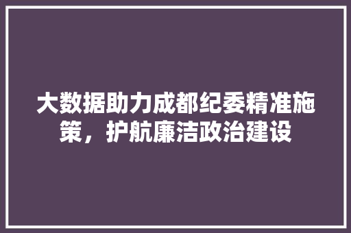 大数据助力成都纪委精准施策，护航廉洁政治建设