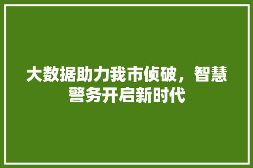 大数据助力我市侦破，智慧警务开启新时代 建站教程