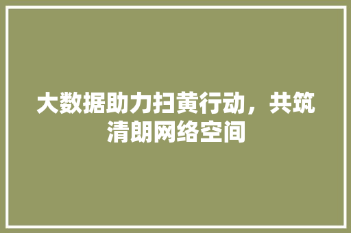 大数据助力扫黄行动，共筑清朗网络空间 Web前端