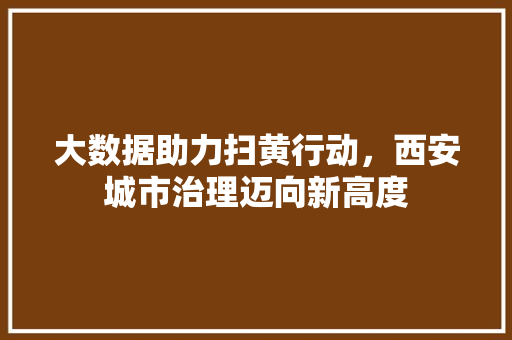 大数据助力扫黄行动，西安城市治理迈向新高度 Web前端