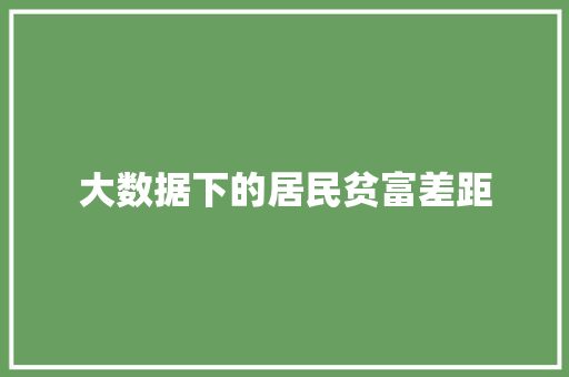 大数据下的居民贫富差距